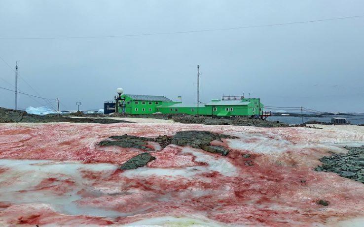 Cambiamento climatico, l'Antartide si tinge di rosso