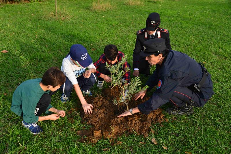 Un albero per il futuro, a Stromboli la riqualificazione del territorio approda a scuola